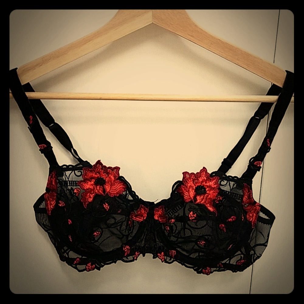 Beautiful Bra purchased in France